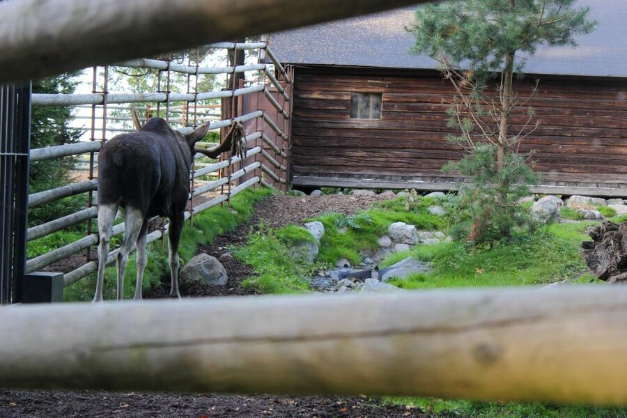 Stockholm: Personalized Guided Tour for Families - Who will get the most from this experience