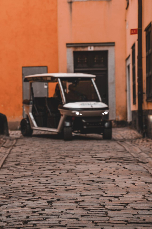 Stockholm Private Golf Cart Tours - Skeppsbron and the Royal Palace begin the story