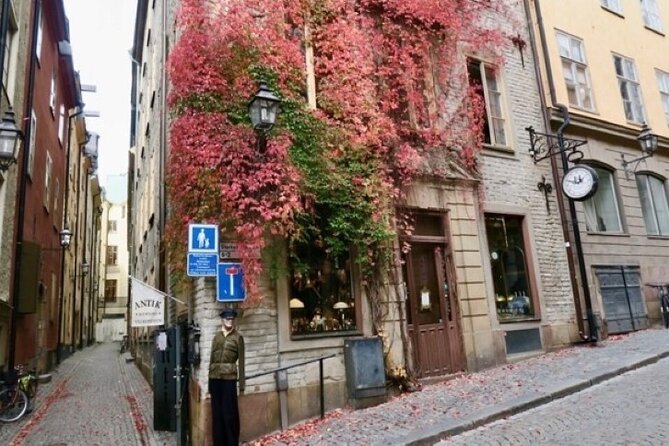 Stockholm Private Group Walking Tour | 3 Hours - Weather, footwear, and physical effort