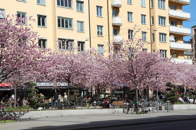 Stockholm Private Tour with a Local: Hip & Bohemian Sodermalm 3hr - Art galleries, vintage stores, and independent shops