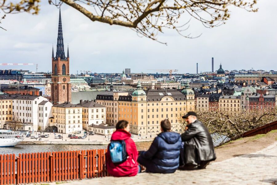 Stockholm Private Walking Experience with a Local Host 3-8hr - Wheelchair access and walking pace