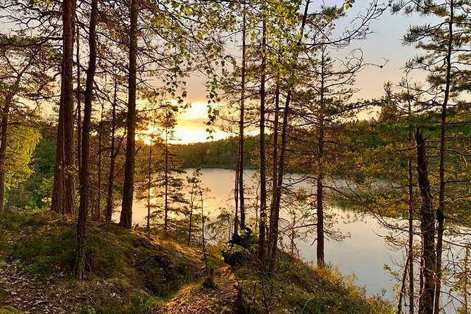 Stockholm: Sunset Hike in Tyresta National Park with Meal - From Gullmarsplan to Tyresta forest