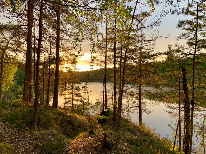 Stockholm: Sunset Hike in Tyresta National Park with Meal - Who will enjoy this evening most?