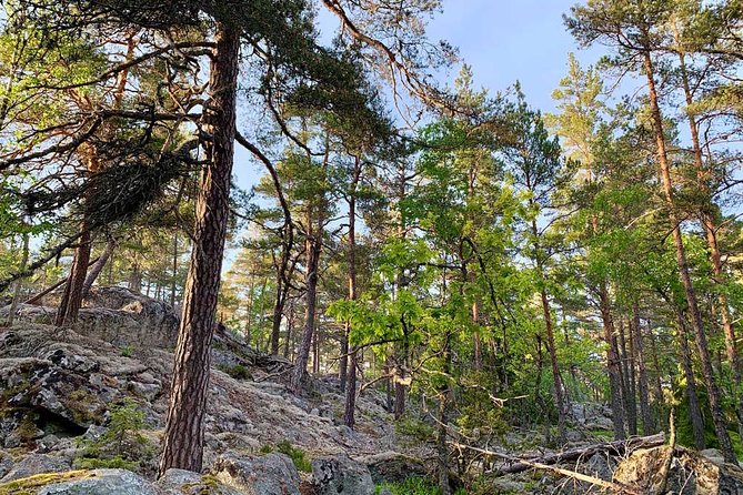 Stockholm: Sunset Hike in Tyresta National Park with Meal - The first 1.5 hours on forest paths