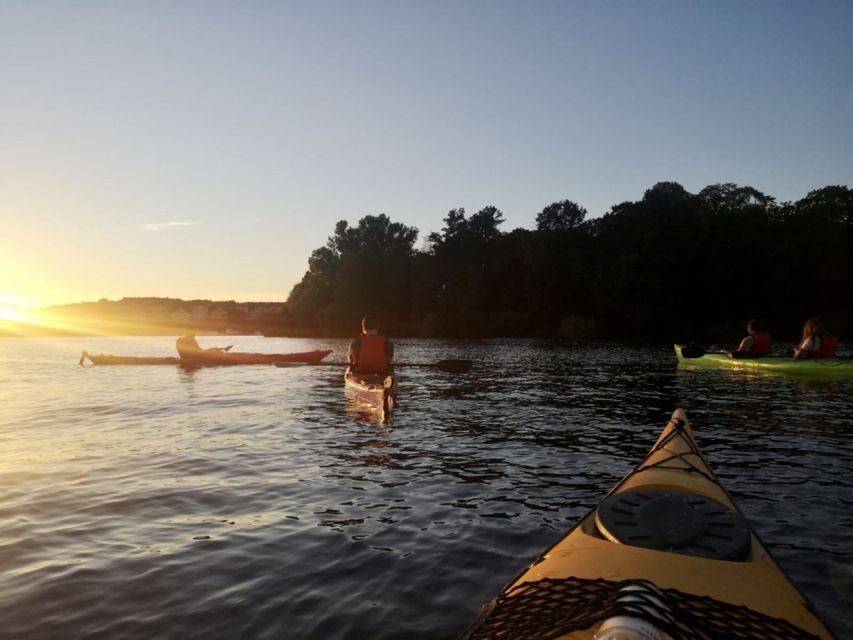 Stockholm: Sunset Kayak Tour in the City + Swedish Fika - What the $149 price includes