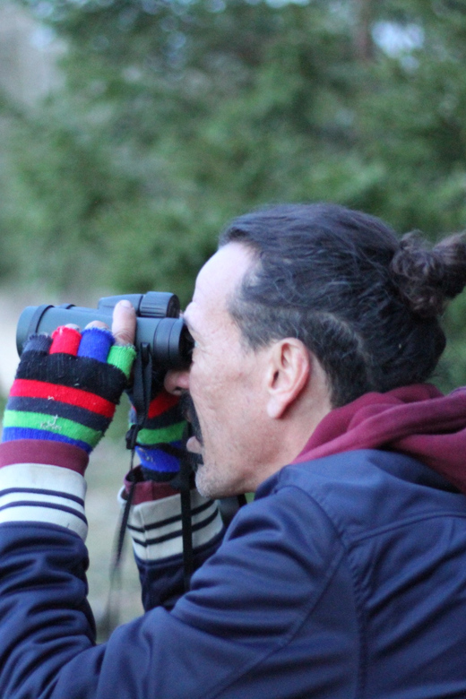 Stockholm: Wildlife Safari - Practical tips for a better evening