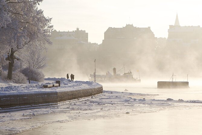 Stockholm Winter Boat Tour with Guide - Key points to know before boarding