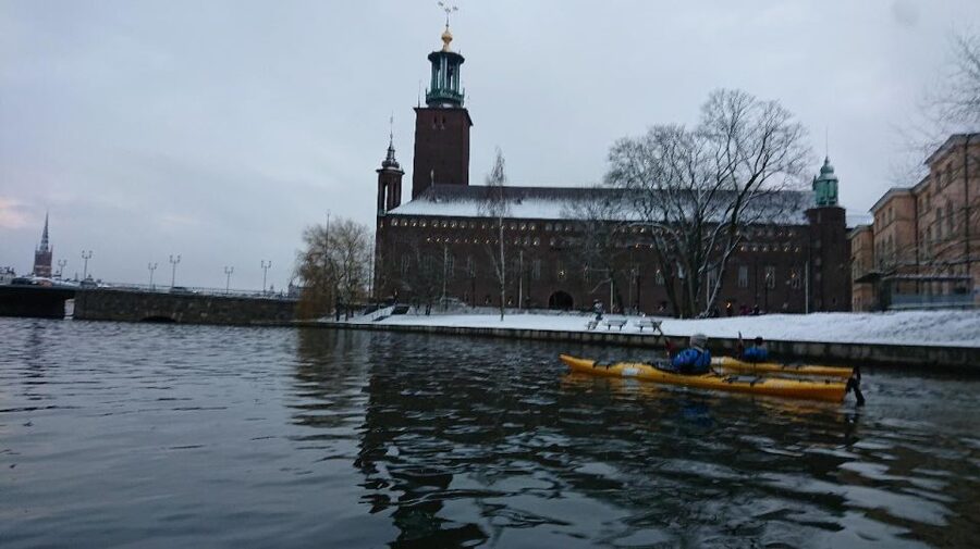Stockholm: Winter City Kayaking Tour - What the guides add