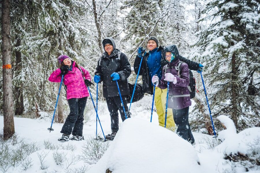 Stockholm: Winter Snowshoe Full-Day Hike - From Stockholm streets to quiet winter woods