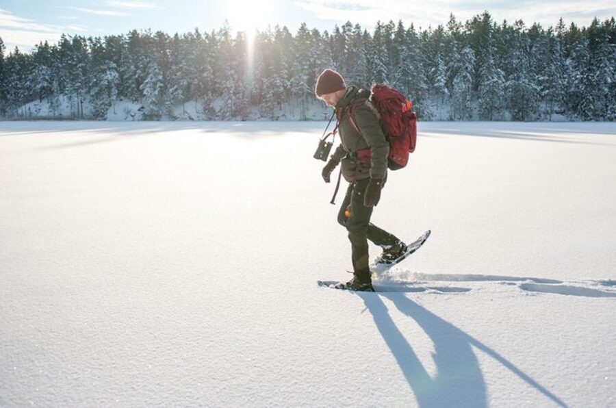 Stockholm: Winter Snowshoe Full-Day Hike - Should you book the Stockholm snowshoe hike?