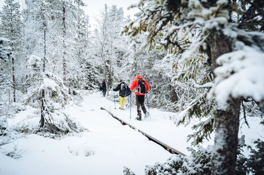 Stockholm: Winter Snowshoe Full-Day Hike - A campfire lunch that earns its place