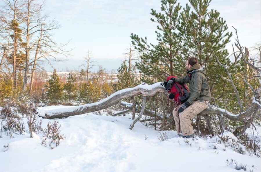 Stockholm: Winter Snowshoe Full-Day Hike - Is $176 a fair price?