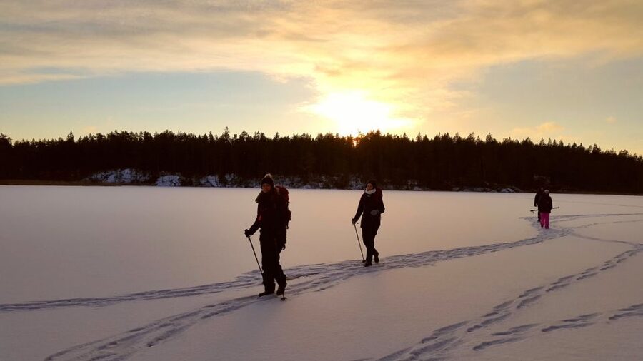 Stockholm: Winter Snowshoe Full-Day Hike - Forest trails, deer tracks, and Swedish ecosystems