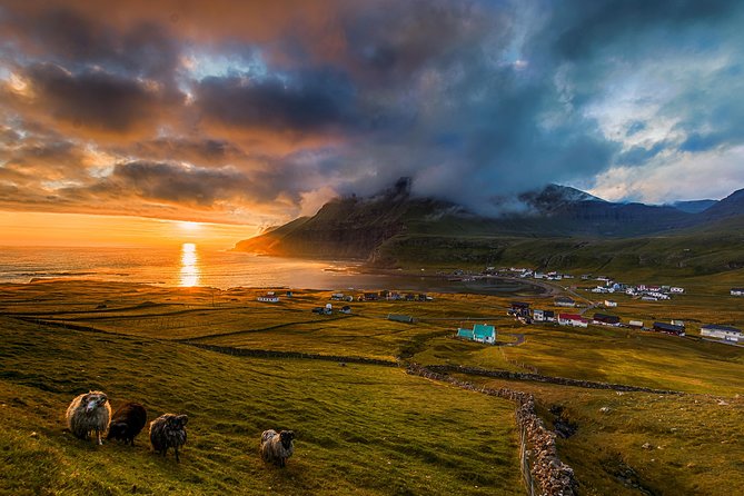 Súðuroy Island Day Tour, Faroe Islands - What the $470.16 price really covers