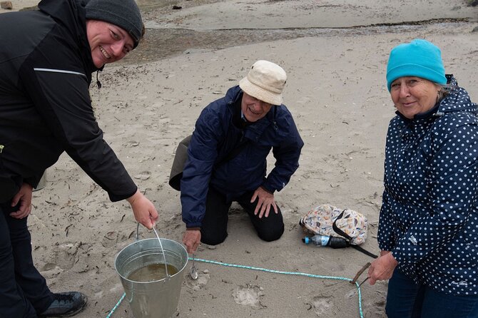 Summer Fjord Road Trip with Citizen Science with Wandering Owl - A homemade picnic beside an Arctic beach