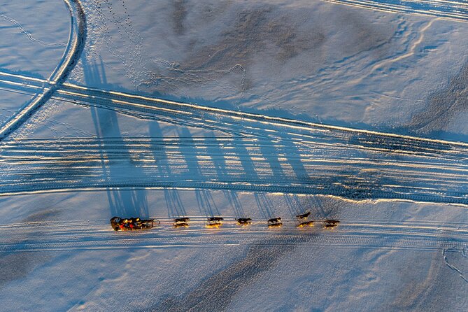 Sunrise Zen Husky Tour (10:00 to 13:00 - sitting on the sled) - Feeding the team and caring for the dogs