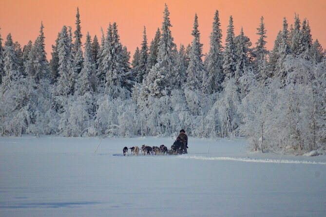 Sunrise Zen Husky Tour (10:00 to 13:00 - sitting on the sled) - Fire, hot drinks, and a northern fika