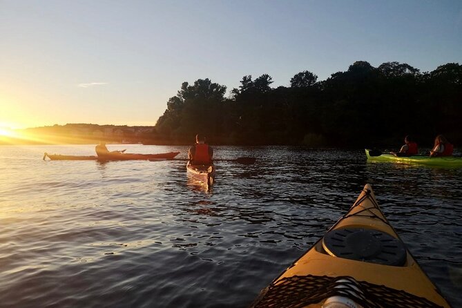 Sunset Kayak Tour in Central Stockholm and Swedish Fika - Meeting at Smedsuddsvägen 23
