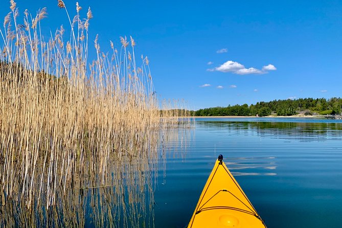 Sunset Kayak Tour in the Stockholm Archipelago + Swedish Fika - The weather rule and how to plan around it