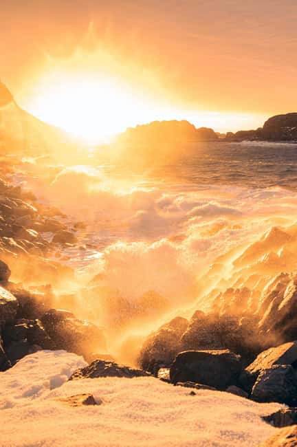 Svolvær and Henningsvær Sightseeing and History Tour - Who will enjoy this Lofoten history tour?