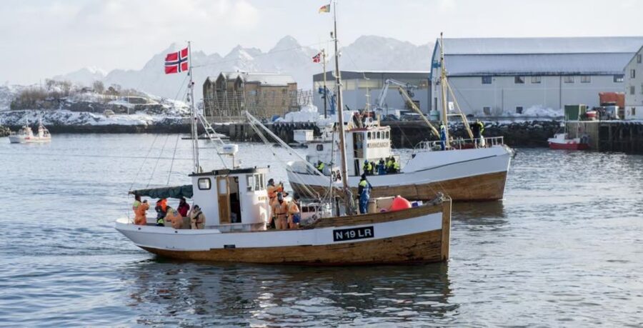 Svolvær: Fishing Trip on the Lofoten Sea - Key points to know before you book