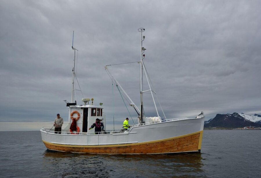 Svolvær: Fishing Trip on the Lofoten Sea - What three hours on MS Luna feels like