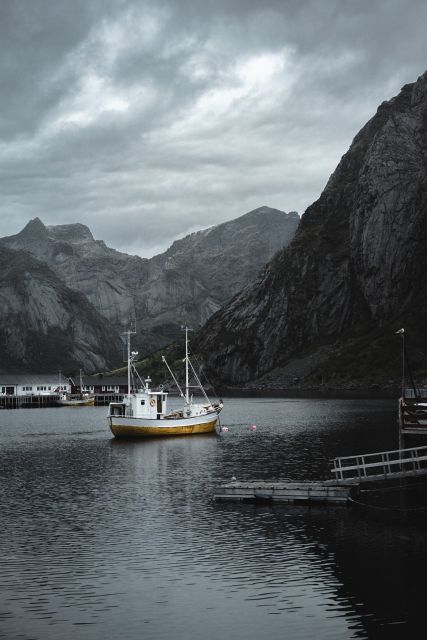 Svolvær: Fishing Trip on the Lofoten Sea - Scenery, wildlife, and the parts between catches