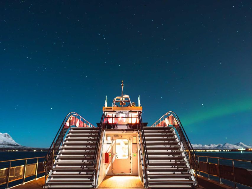 Svolvær: Northern Lights and Full Steam Cruise with Tasting - What $103 buys you