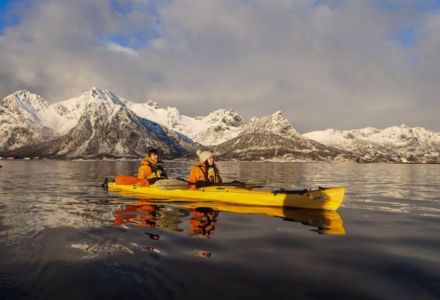 Svolvaer: Sea Kayaking Experience - Watching for seabirds and the white-tailed sea eagle