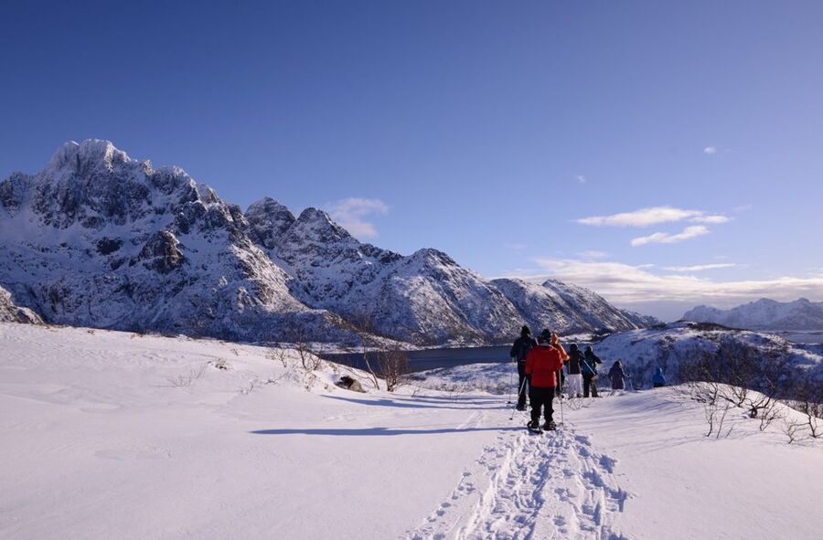Svolvær: Snowshoe Nature Explorer - Hot drinks in the mountains