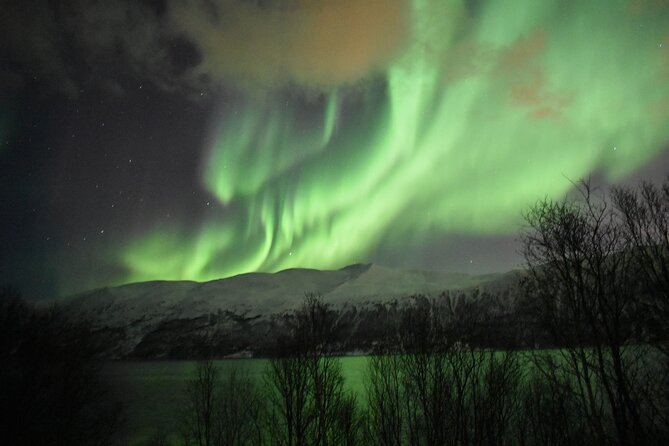 The Aurora Tour - small group, northern lights - The campfire is more than a decorative extra