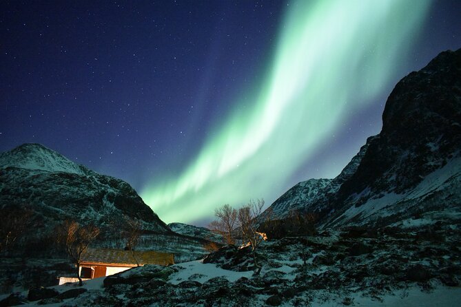 The Aurora Tour - small group, northern lights - Winter clothing, headlamps, and the cold reality