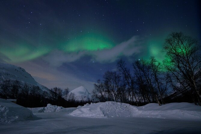 The Aurora Tour - VIP trip for northern lights, aurora borealis - Chasing the aurora beyond Tromsø