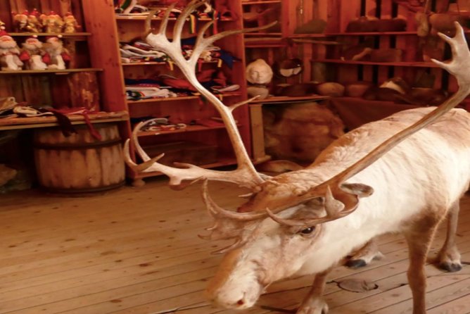 The North Cape, Reindeer and Sami Families Tour - Inside Nordkapphallen