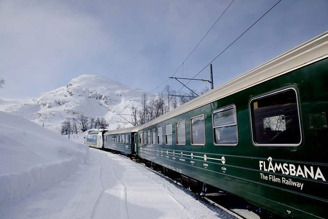 The Scenic Roadtrip, Oslo to Bergen via Flam & the Fjords - The 8:30 am pickup and private vehicle