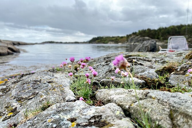 The Southern Norwegian Archipelago Experience - Fishing for pollock, mackerel, cod, and more