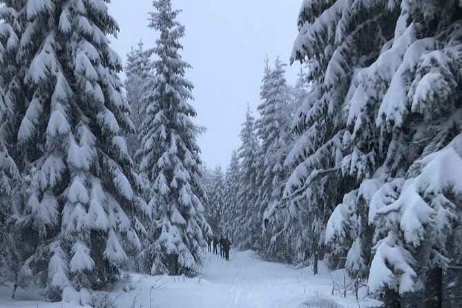 The Ultimate Norwegian Skiing Experience - Is $112.60 a fair price?