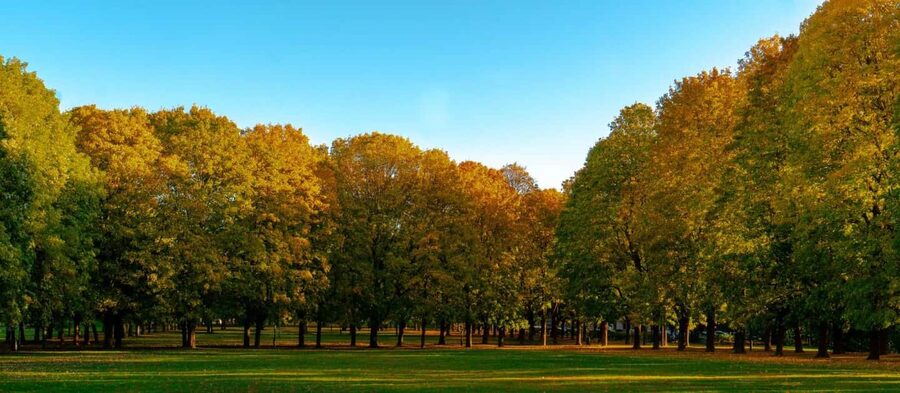 The Vigeland Park in Oslo: Insta-Perfect Walk with a Local - How the 90 minutes may feel