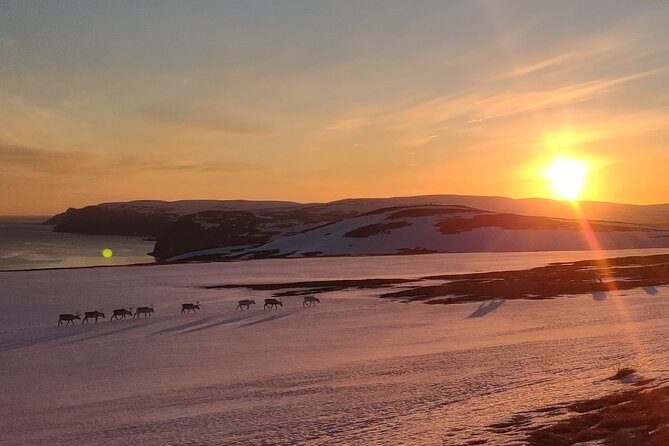 The VIP North Cape Tour - Sami culture and the limits of a short visit