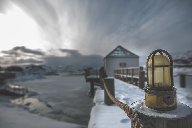 Tour of the authentic fjords of Kvaløya - Is $151.06 a fair price?