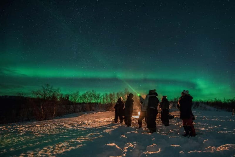 Tromsø: Adult Only Aurora hunt with Citizen Science - Key points before you book