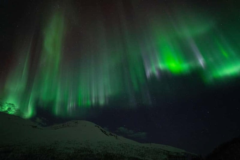 Tromsø: Adult Only Aurora hunt with Citizen Science - Who should book this Aurora hunt?
