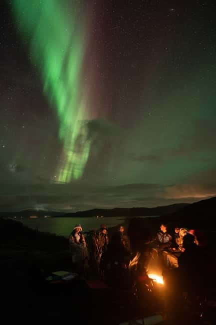 Tromsø: Adult Only Aurora hunt with Citizen Science - A small group with room for personal help
