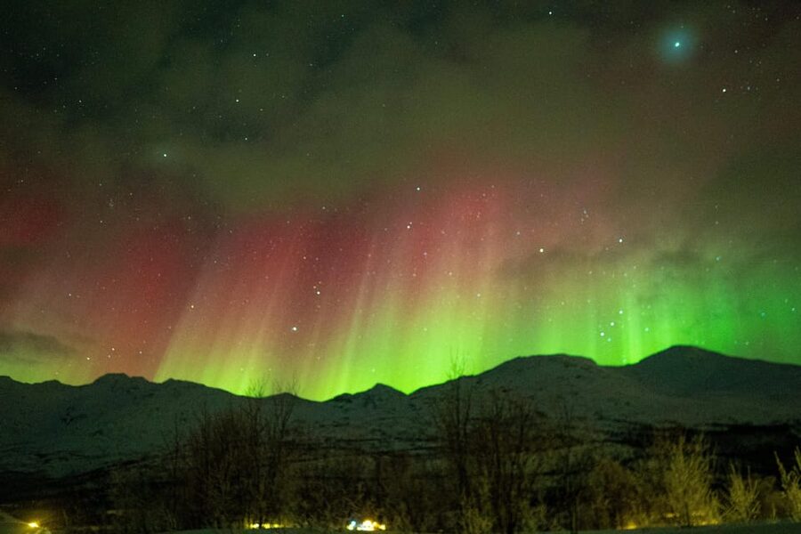 Tromsø Adventurous Northern Lights Small-Group - Warm drinks, campfire, and staying comfortable