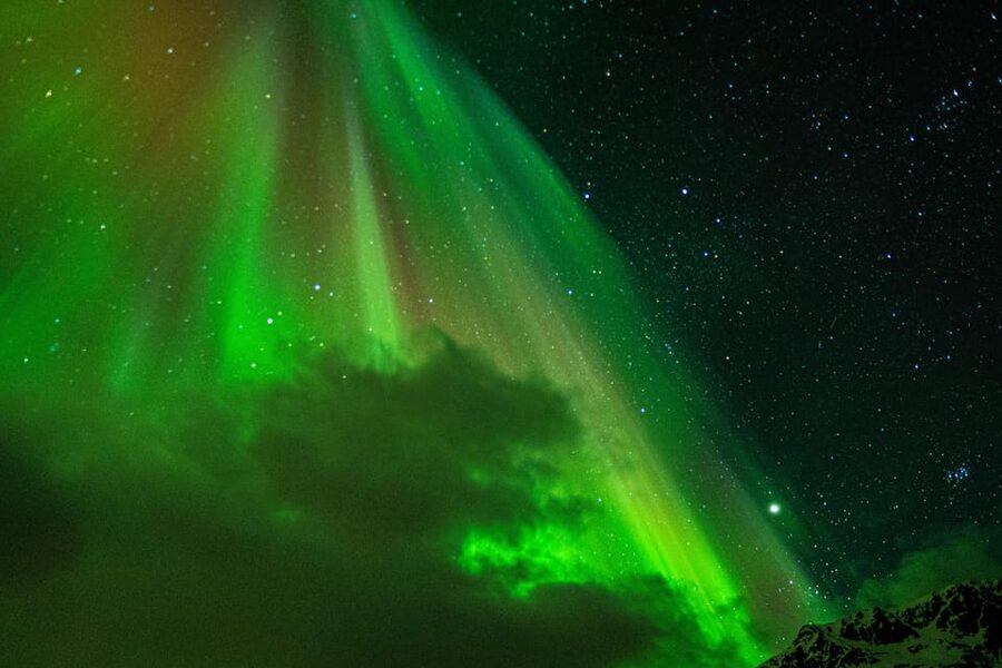 Tromsø Adventurous Northern Lights Small-Group - Is $131 good value?