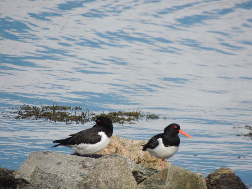 Tromso: All-Inclusive Arctic Fjords and Sommarøy Scenic Tour - The return route through southern Kvaløya