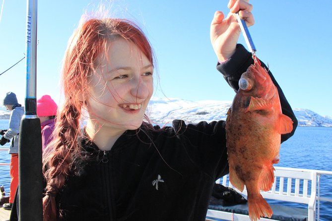 Tromsø: Arctic Fjord Cruise & Fishing Experience - Leaving Tromsø for the Arctic Fjords