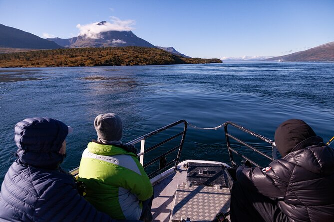 Tromsø: Arctic Fjord Cruise & Fishing Experience - Fish Soup and Hot Chocolate Aboard