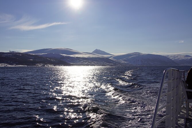 Tromsø: Arctic Fjord Cruise & Fishing Experience - Who Will Enjoy This Cruise Most?