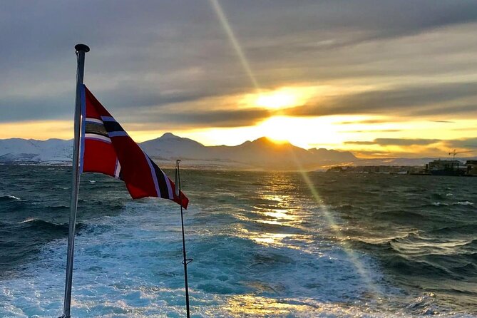 Tromsø: Arctic Fjord Cruise & Fishing Experience - Booking Advice Before You Go